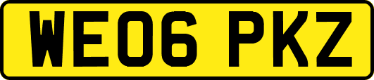 WE06PKZ