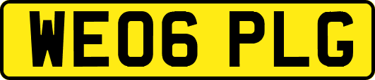 WE06PLG