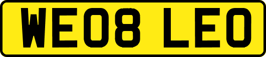 WE08LEO