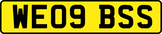 WE09BSS