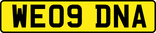 WE09DNA
