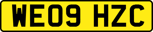 WE09HZC