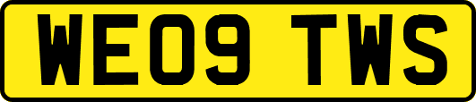 WE09TWS