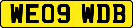 WE09WDB