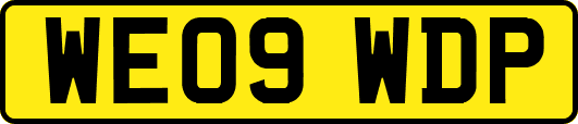 WE09WDP