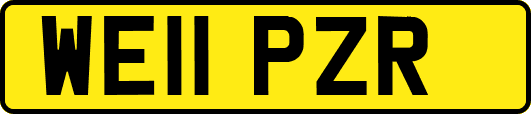 WE11PZR