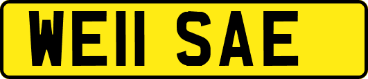 WE11SAE