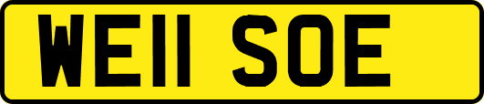 WE11SOE