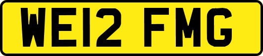 WE12FMG