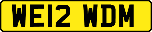WE12WDM