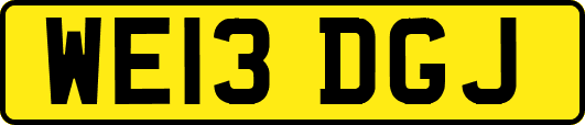 WE13DGJ