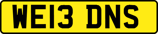 WE13DNS