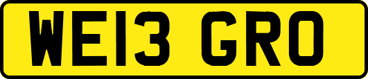 WE13GRO