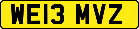 WE13MVZ