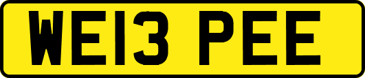 WE13PEE