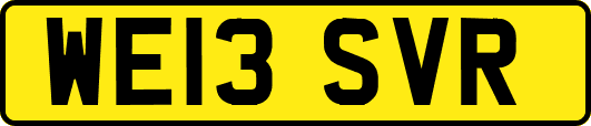 WE13SVR