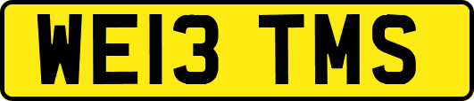 WE13TMS