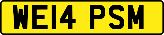WE14PSM
