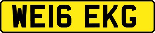 WE16EKG