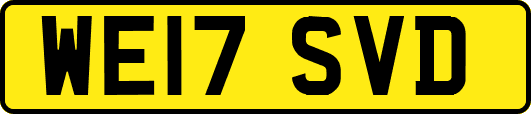 WE17SVD