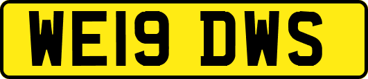 WE19DWS