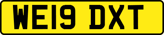 WE19DXT