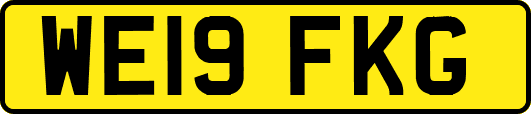 WE19FKG