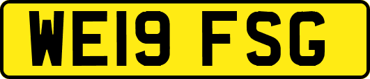 WE19FSG