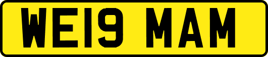 WE19MAM