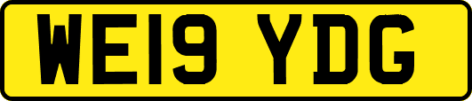 WE19YDG