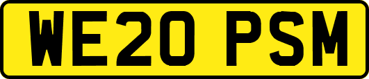 WE20PSM