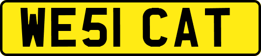 WE51CAT