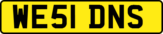 WE51DNS