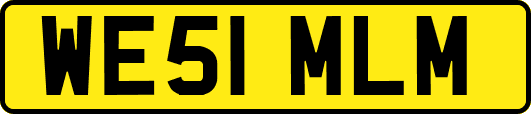 WE51MLM