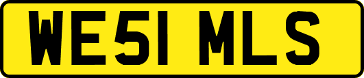 WE51MLS