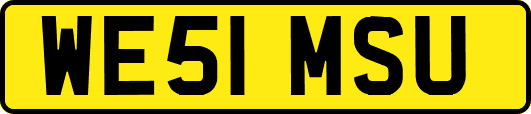 WE51MSU
