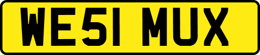 WE51MUX