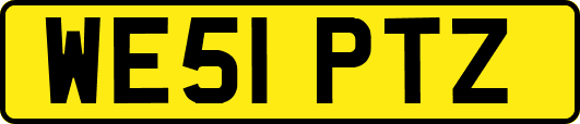 WE51PTZ
