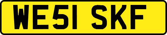 WE51SKF