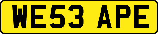 WE53APE