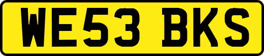 WE53BKS