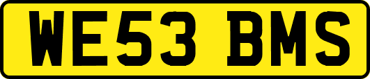WE53BMS