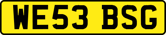 WE53BSG