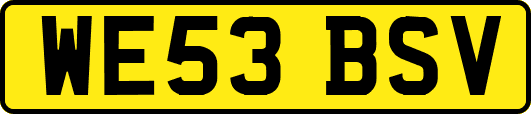 WE53BSV