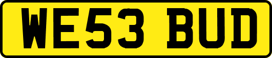 WE53BUD