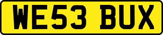 WE53BUX