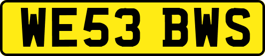 WE53BWS