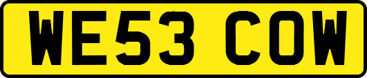 WE53COW