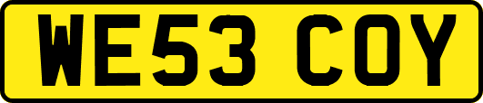 WE53COY