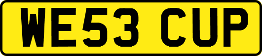 WE53CUP